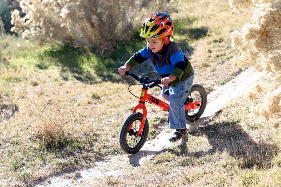 boy riding a frog tadpole down a dirt path