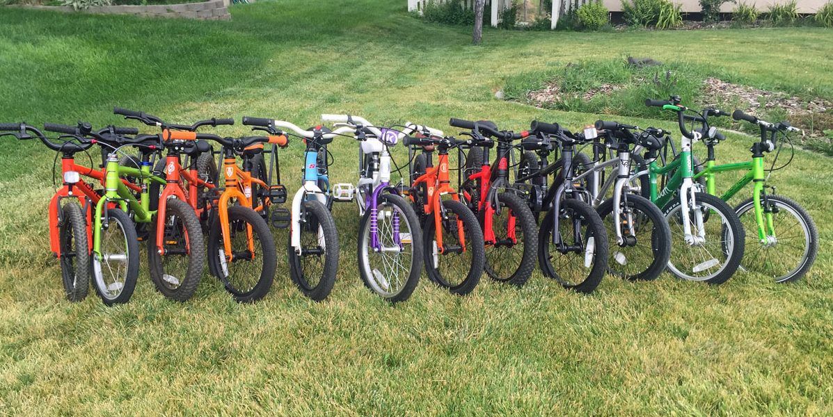 12 different 16 inch bikes lined up in a row. They vary in size.