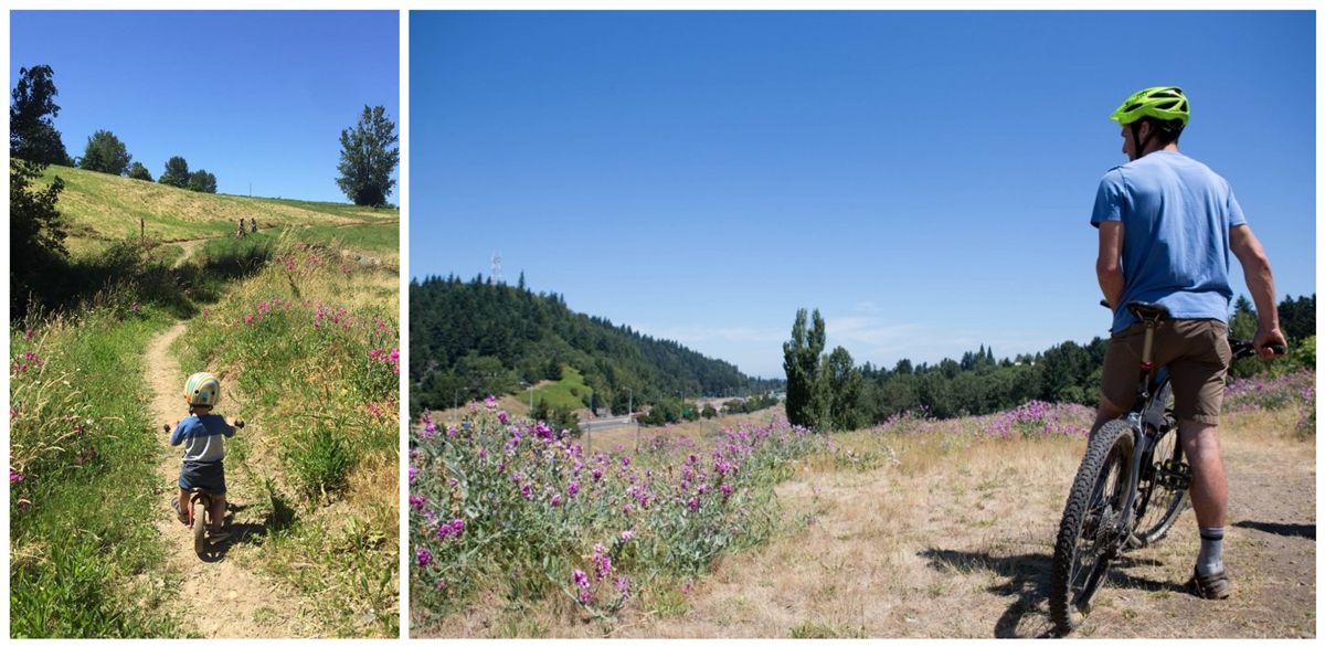 Gateway Green Bike Park in Portland. Man standing over mountain bike looking at view. Child riding balance bike through a trail in a flowering field.