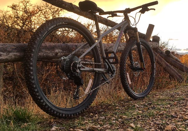 Cleary Scout 26" set against a log fence against the sunset.