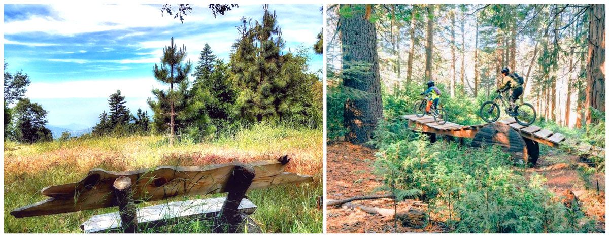 SkyPark Bike Park at Santa's Village - scene of valley below, and father and son riding a wooden bridge in the park