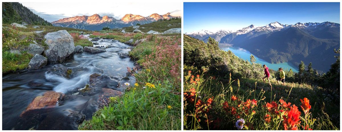 Epic scenic shots of Whistler mountain with spring wildflowers and aquamarine lake