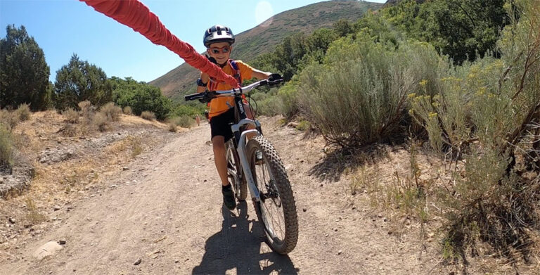 TowWhee Bike Tow Rope Review