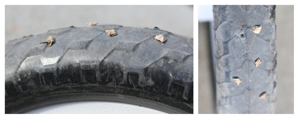 Goat head weeds stuck in the foam tire of a Kazam bike.