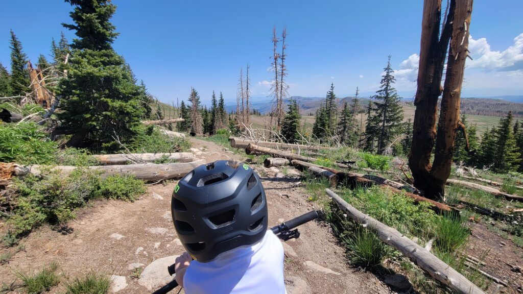 Photo of a mountain biking trail that a 2 year old is riding on with his mom on the Mac Ride seat