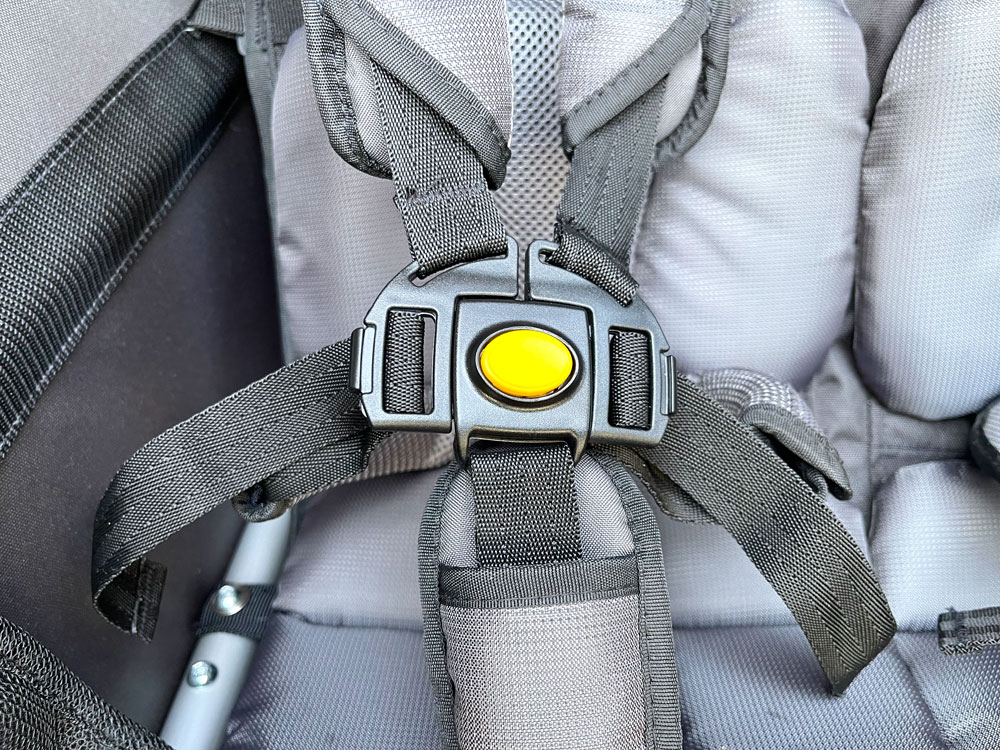 5 point harness on Burley D'Lite X kids bike trailer