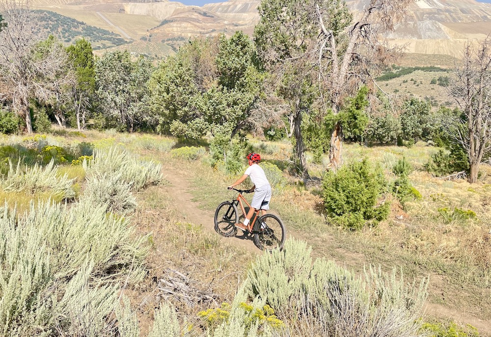 woom OFF AIR 6 copper terra mountain bike in action