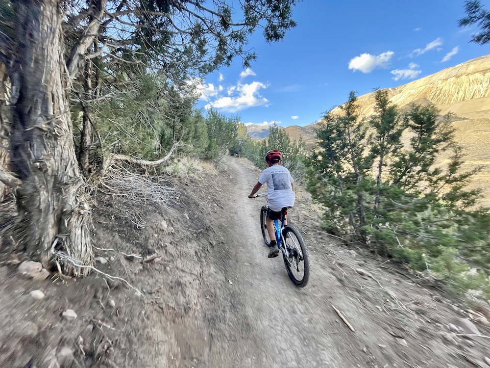 woom UP 6 emtb being ridden by a young rider climbing a hill