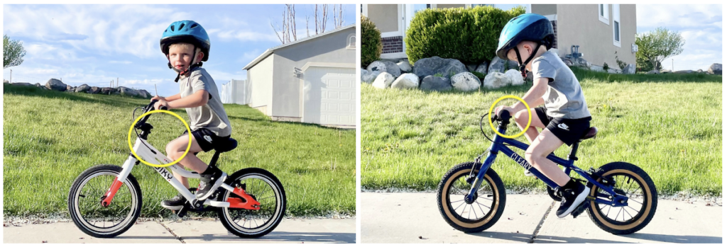 differences in cockpit size between the Biky 14 and the cleary gecko