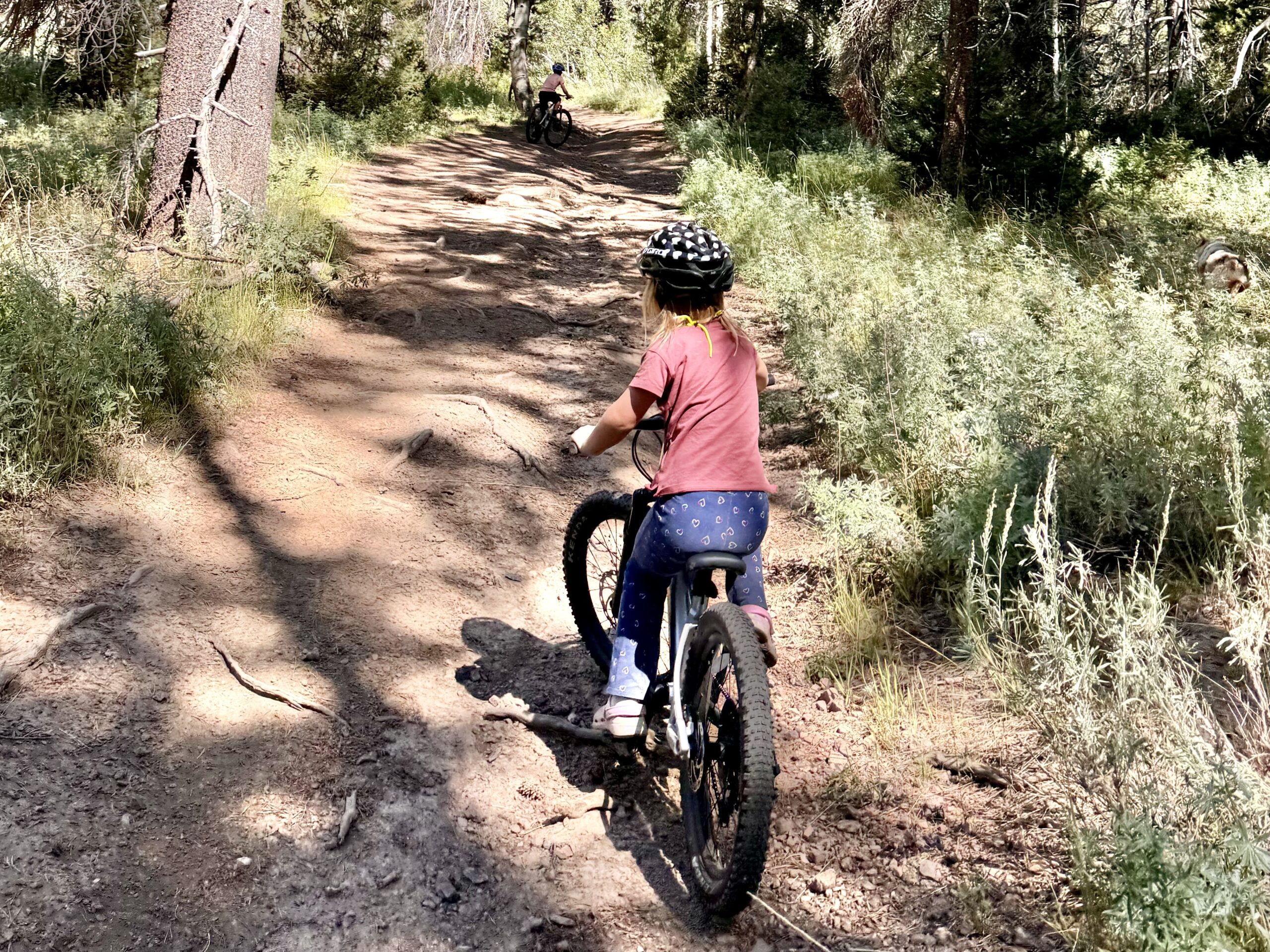 young rider pedaling the Prevelo Zulu three up a dirt trail