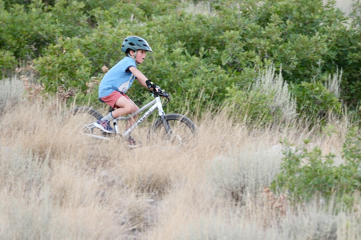 young rider on the Prevelo Alpha three on a mountain bike trail