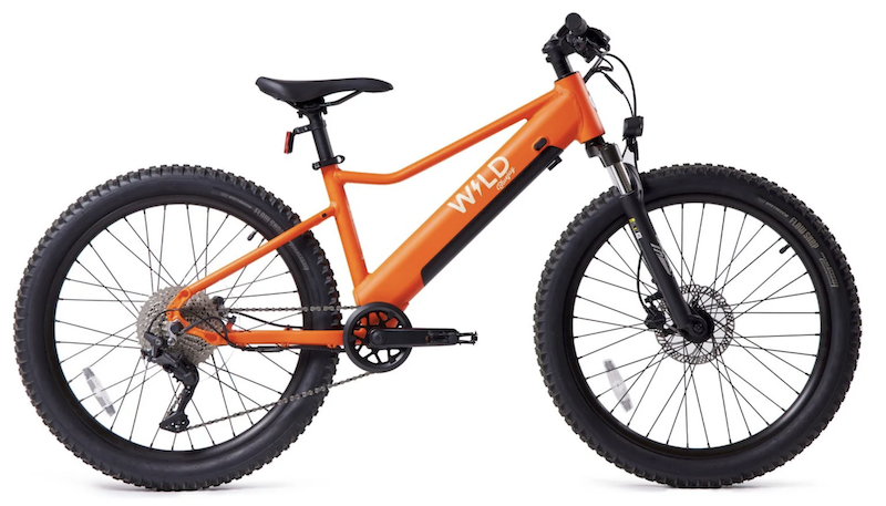 bluejay wild kids ebike